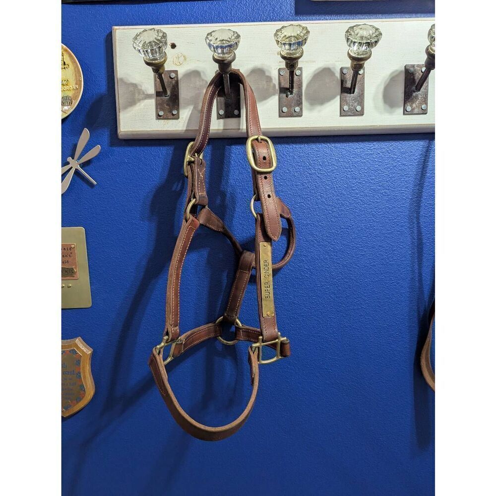 Leather Thoroughbred Race Horse Halter